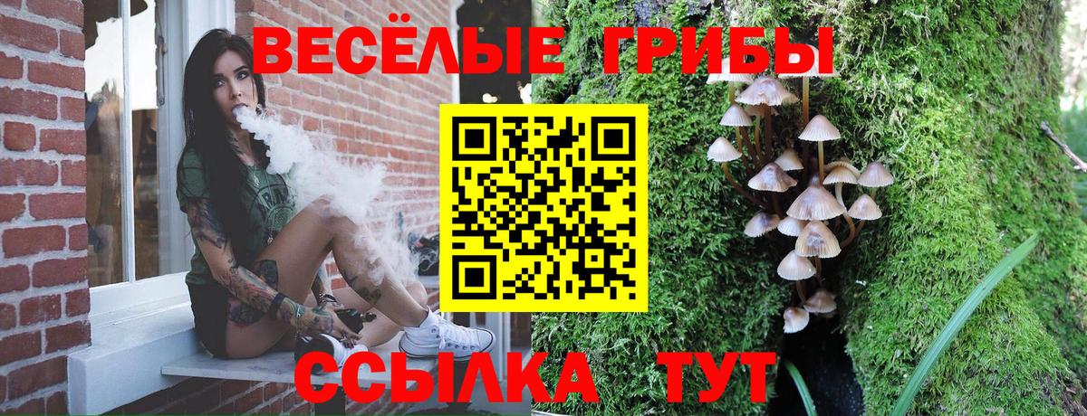 Псилоцибиновые грибы прущие грибы  Вход с VPN  сколько стоит  Железногорск 